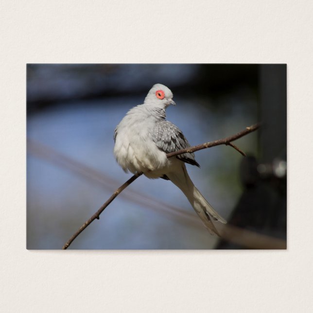 Bonita estufa de diamante (Frente)