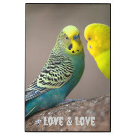 Bonita pared de arte y decoración de arte mural Me