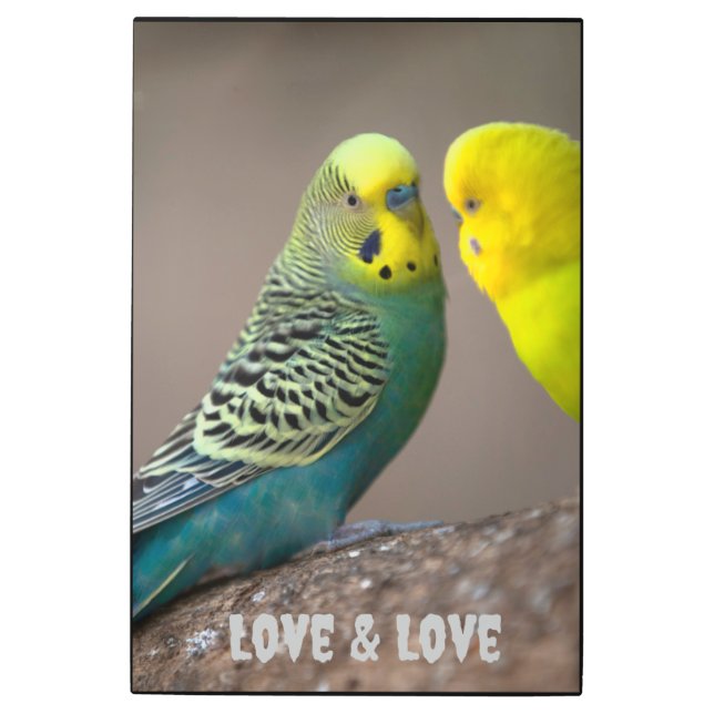 Bonita pared de arte y decoración de arte mural Me (Anverso)