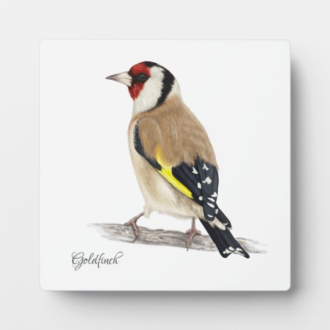 Bonita placa de aves (Frente)