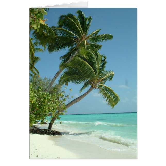 Bonita playa de Maldivas (Frente)