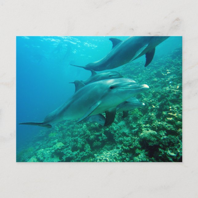 Bonita postal (Anverso)