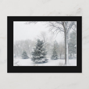 Bonita postal Blizzard
