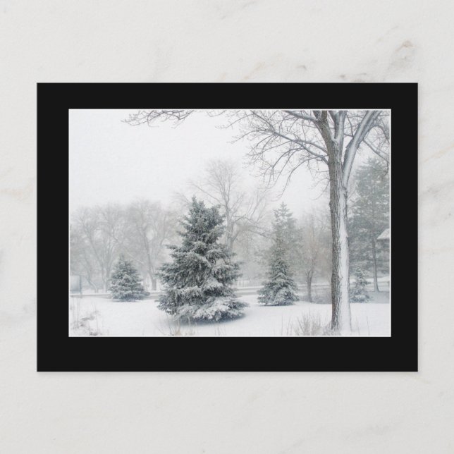 Bonita postal Blizzard (Anverso)