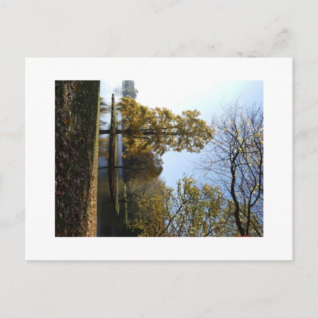 Bonita postal de árbol (Anverso)