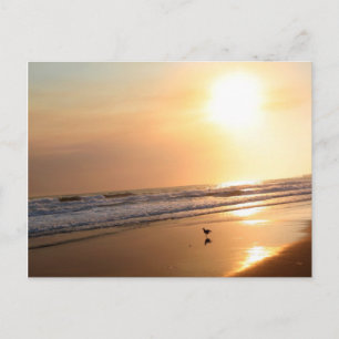 Bonita postal de California Ocean Sunset