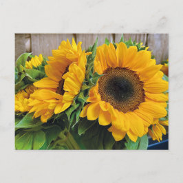 Bonita postal de girasoles
