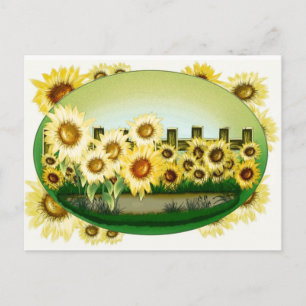 Bonita postal de girasoles