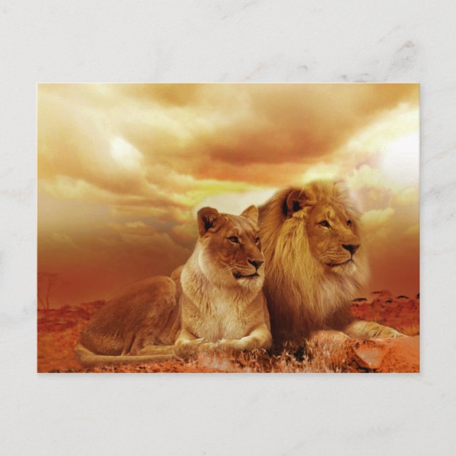 Bonita postal de la pareja de leones 