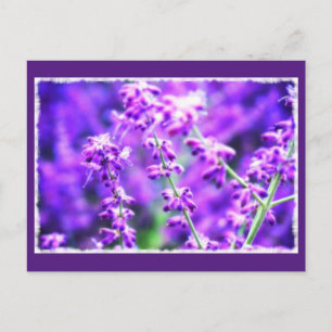 Bonita postal de las flores moradas