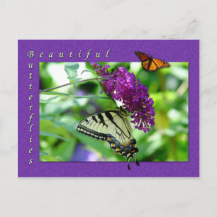 Bonita postal de mariposas