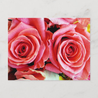 Bonita postal de Rosas