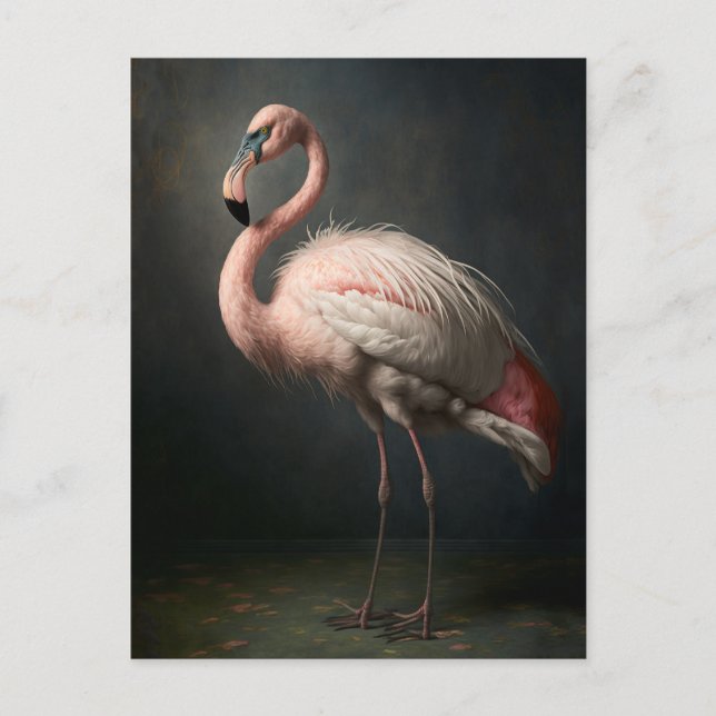 Bonita postal Flamingo (Anverso)