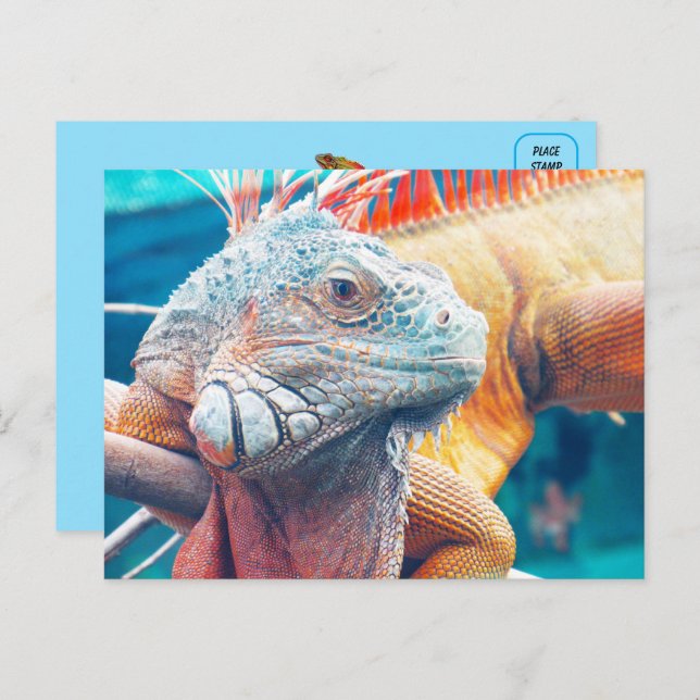 Bonita postal iguana (Anverso / Reverso)