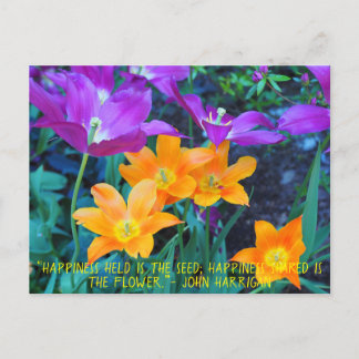 Bonita postal morada de tulipanes de primavera Nar