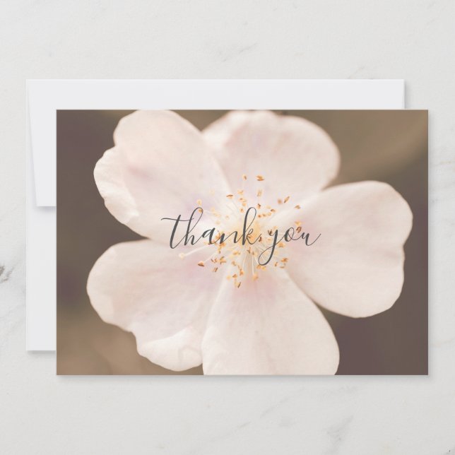 Bonita tarjeta de agradecimiento para Rosa salvaje (Anverso)