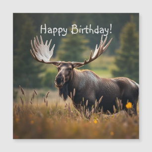 Bonita tarjeta de cumpleaños magnética Moose