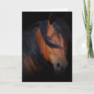 Bonita tarjeta de cumpleaños para caballos