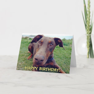 Bonita tarjeta de cumpleaños roja doberman