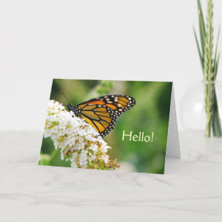 Bonita tarjeta de felicitación para mariposa