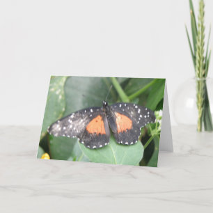 Bonita tarjeta de felicitación para mariposa