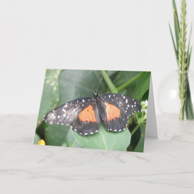 Bonita tarjeta de felicitación para mariposa (Anverso)