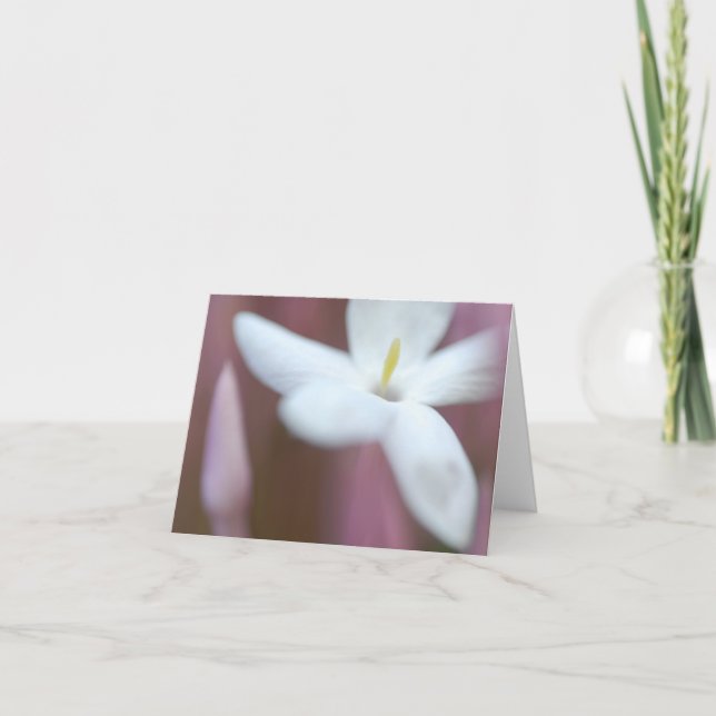 Bonita tarjeta de felicitación plegada de flores (Anverso)