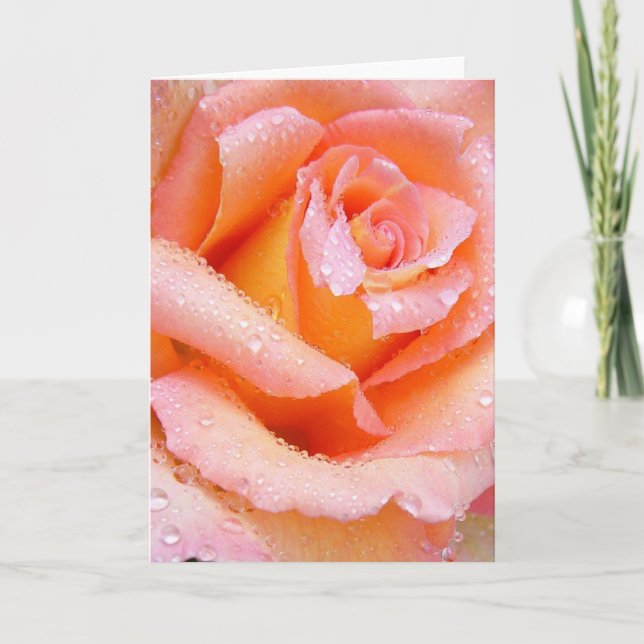 Bonita tarjeta de felicitación Rosa (Anverso)