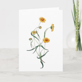 Bonita tarjeta de flores silvestres de las margari