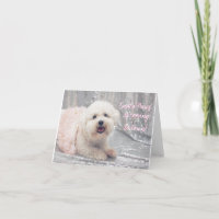 Bonita tarjeta de Navidades Bichon Frise Ballerina