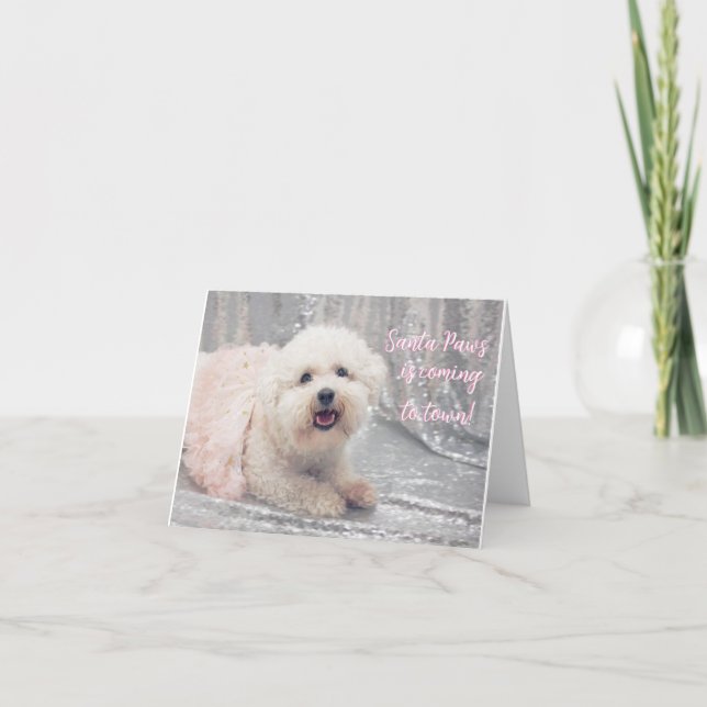 Bonita tarjeta de Navidades Bichon Frise Ballerina (Anverso)