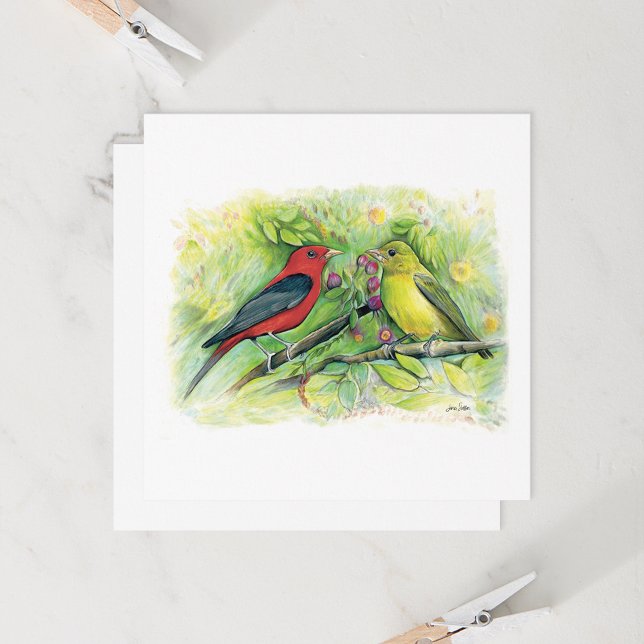 Bonita tarjeta de nota de la pareja Scarlet Tanage (Beautiful Scarlet Tanager Couple Watercolor Blank Note Cards from Jenn Steffen Art)