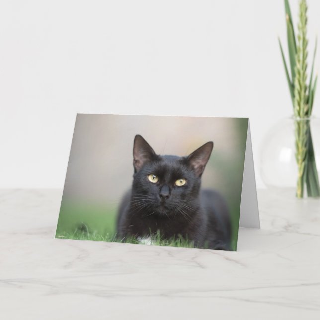 Bonita tarjeta de notas para gato negro (Anverso)