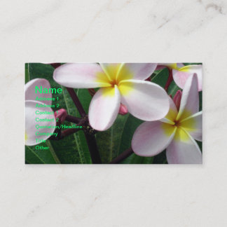 Bonita tarjeta de visita rosa y amarilla Plumeria