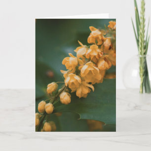 Bonita tarjeta en blanco para fotografía de flores