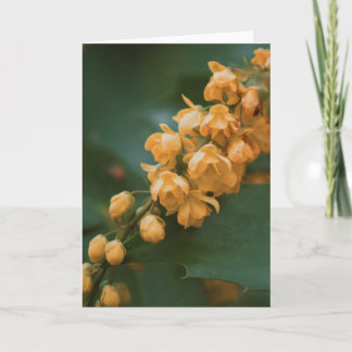 Bonita tarjeta en blanco para fotografía de flores
