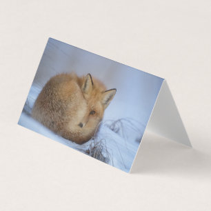 Bonita tarjeta Fox Blank