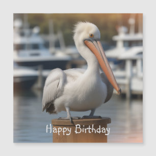 Bonita tarjeta magnética de cumpleaños Pelican