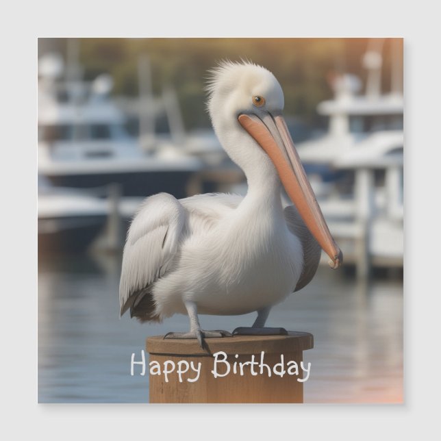 Bonita tarjeta magnética de cumpleaños Pelican (Anverso)