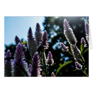 Bonita tarjeta morada floral en blanco