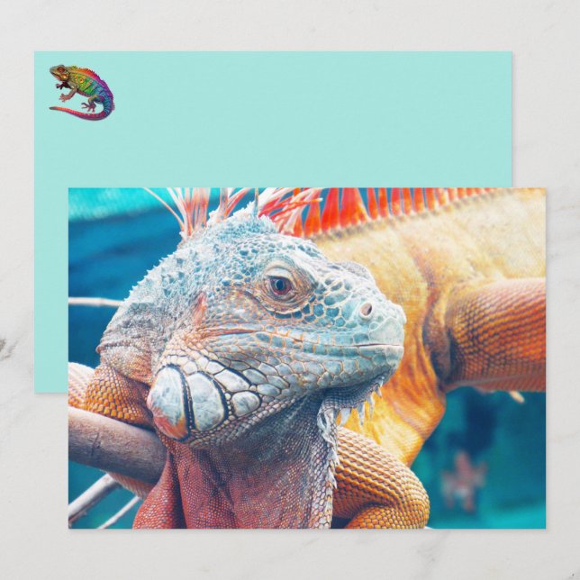 Bonita tarjeta plana iguana (Anverso / Reverso)