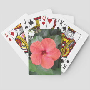 Bonitas cartas de Naranja Hibiscus Flower Jugando