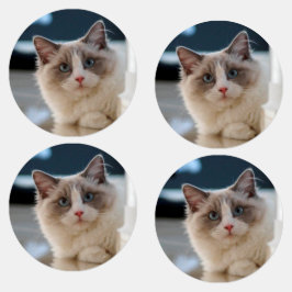 Bonitas etiquetas de gato