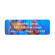 Bonitas etiquetas de medusas