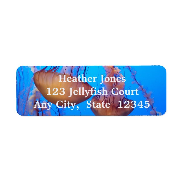 Bonitas etiquetas de medusas (Frente)