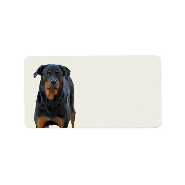 Bonitas etiquetas de Rottweiler (Frente)