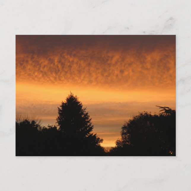 Bonitas postales de Sunrise (Anverso)
