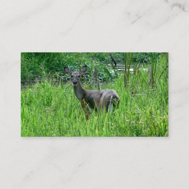 Bonitas tarjetas de comercio de venado (Anverso)