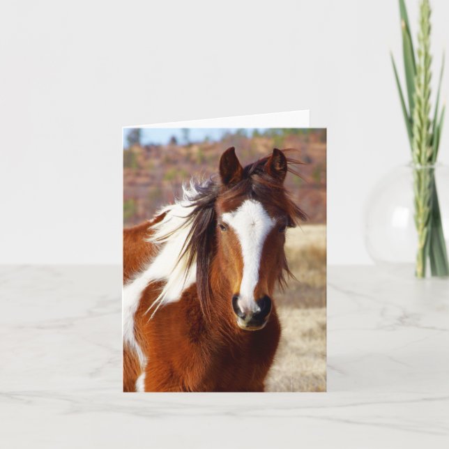 Bonitas tarjetas de notas para caballos de Paint (Anverso)