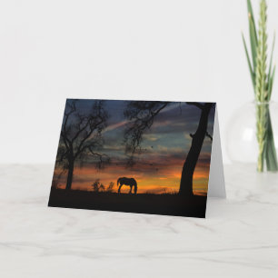 Bonitas tarjetas de notas para caballos en blanco